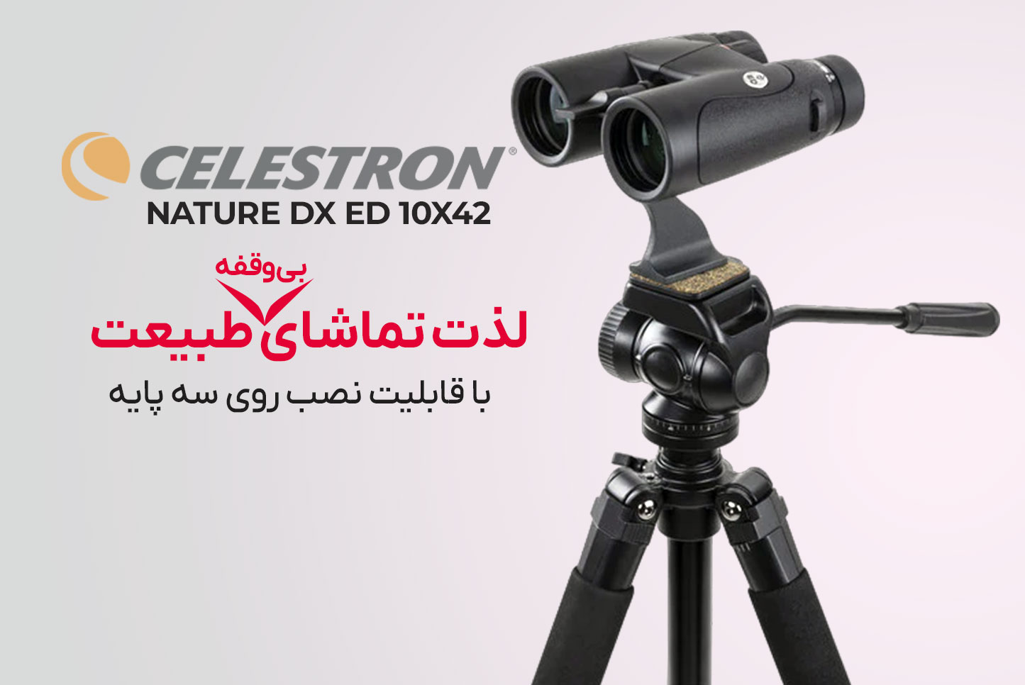 دوربین دوچشمی سلسترون مدل Nature DX 10x42 ED